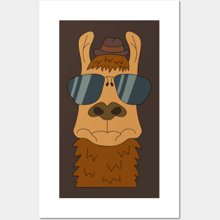 Elegant lama in sunglasses and hat. Posters and Art